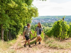 Wandern auf der Hiwweltour Bismarckturm © Dominik Ketz