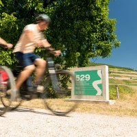 rht-2019-rheinradweg-042-park-am-maeuseturm-bingen © Dominik Ketz