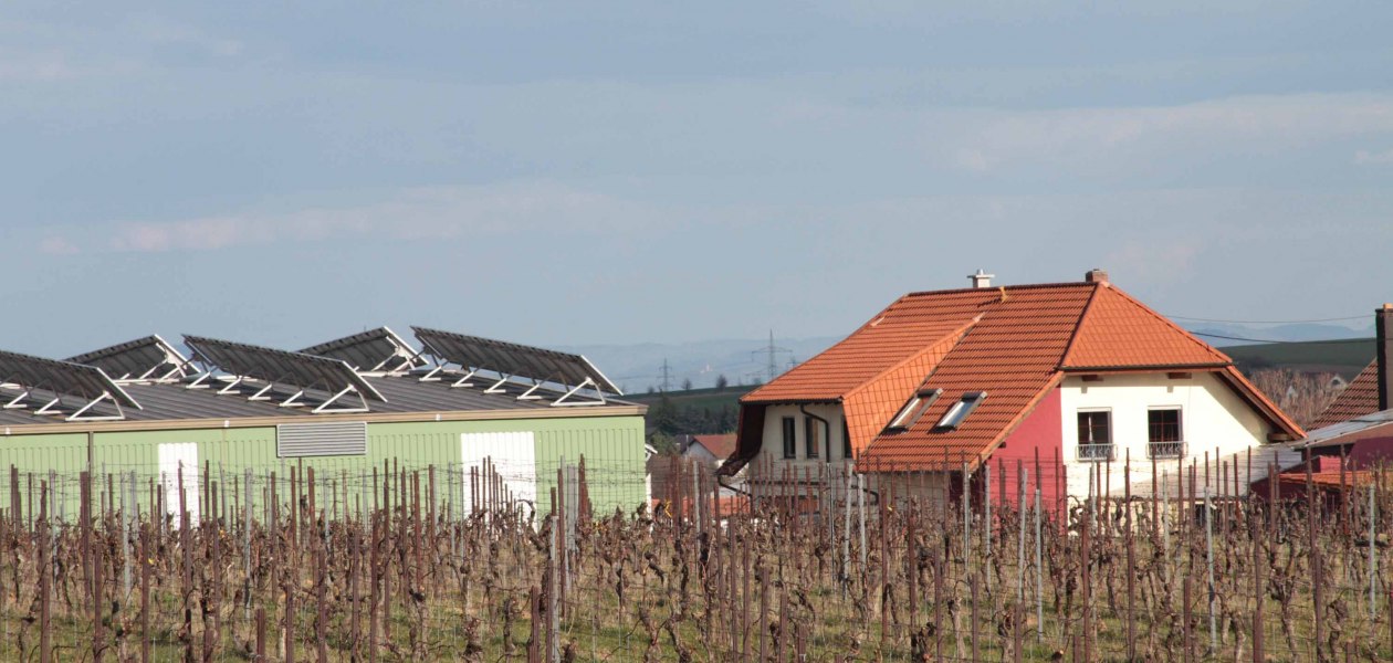 maat1, &copy; Weingut Groebe am Bergkloster