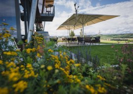 Weinzuhause, &copy; Anja Schnell Fotografie