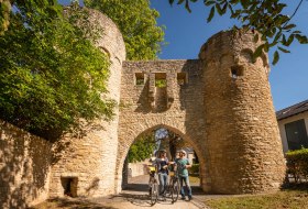 Der Selztalradweg in Ingelheim © Dominik Ketz