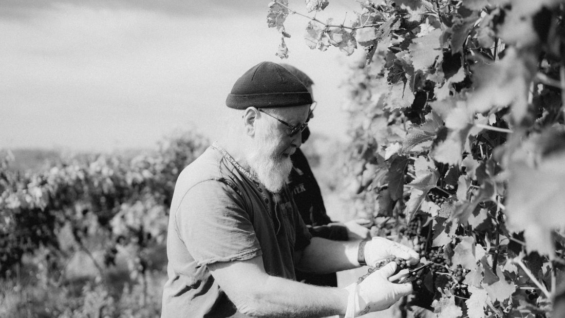 &copy; &Ouml;kologischer Weinbau Huster