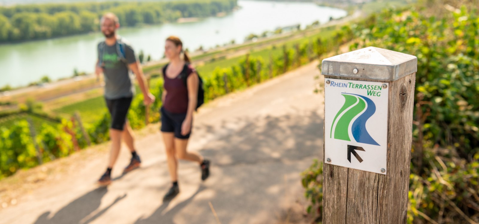 rheinhessen-2020-424_1, © Dominik Ketz