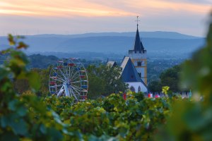 Rotweinfest