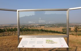 Rundidum auf der via vinea im Sp&auml;tsommer &copy; Tourist Info Sprendlingen-Gensingen