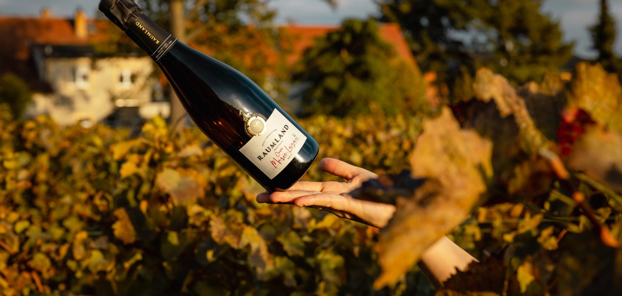 Raumland, &copy; Silvia Baroni