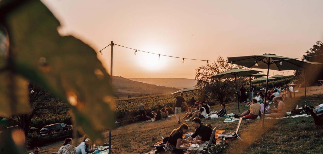 &copy; Max Singer-Fischer