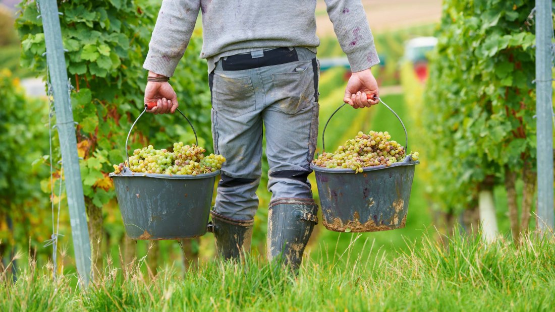 &copy; Weingut Achenbach