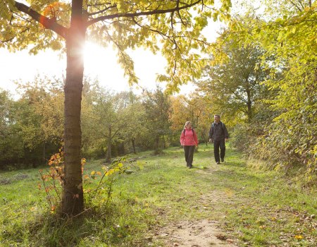 Wandern durch das Sesselbachtale bei Guntersblum, &copy; Michael Zellmer