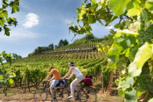 Cycling on the famous vineyard "Roter Hang", &copy; Georg Knoll