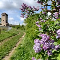 Wasserturm W&ouml;llstein