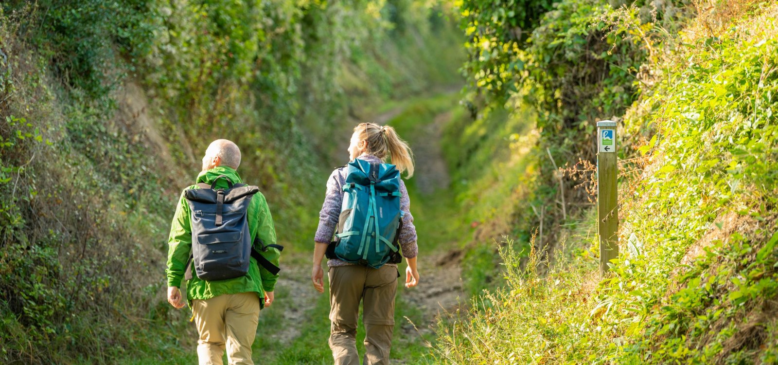 Wanderweg auf der Hiwweltour Westerberg, &copy; &copy; Dominik Ketz