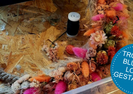 Eventkalender Deskline (66)