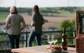 Weinrast mit Weitblick - Aussicht &copy; VG Monsheim, Fotograf Carsten Costard