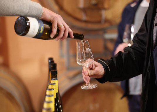 Fr&uuml;hling im Posthof &copy; Weingut Posthof Doll & G&ouml;th