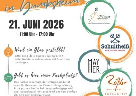 Flyer S.1