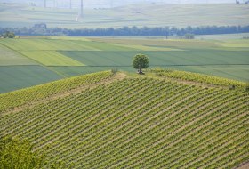 e-bike-tour-greifenberg