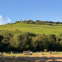 Sch&ouml;ne Aussicht vom Radlertreff