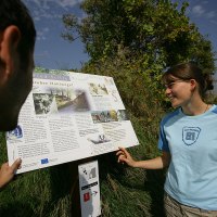 ww0q0348mini © Markus Gloger