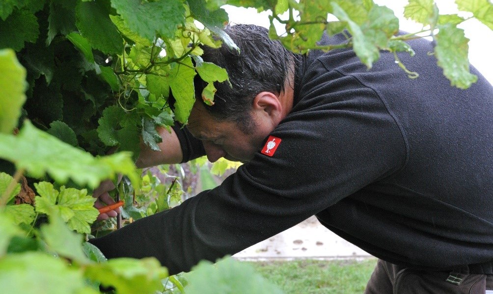 Weingut Bacchushof_Dirk Berges, &copy; Weingut Bacchushof