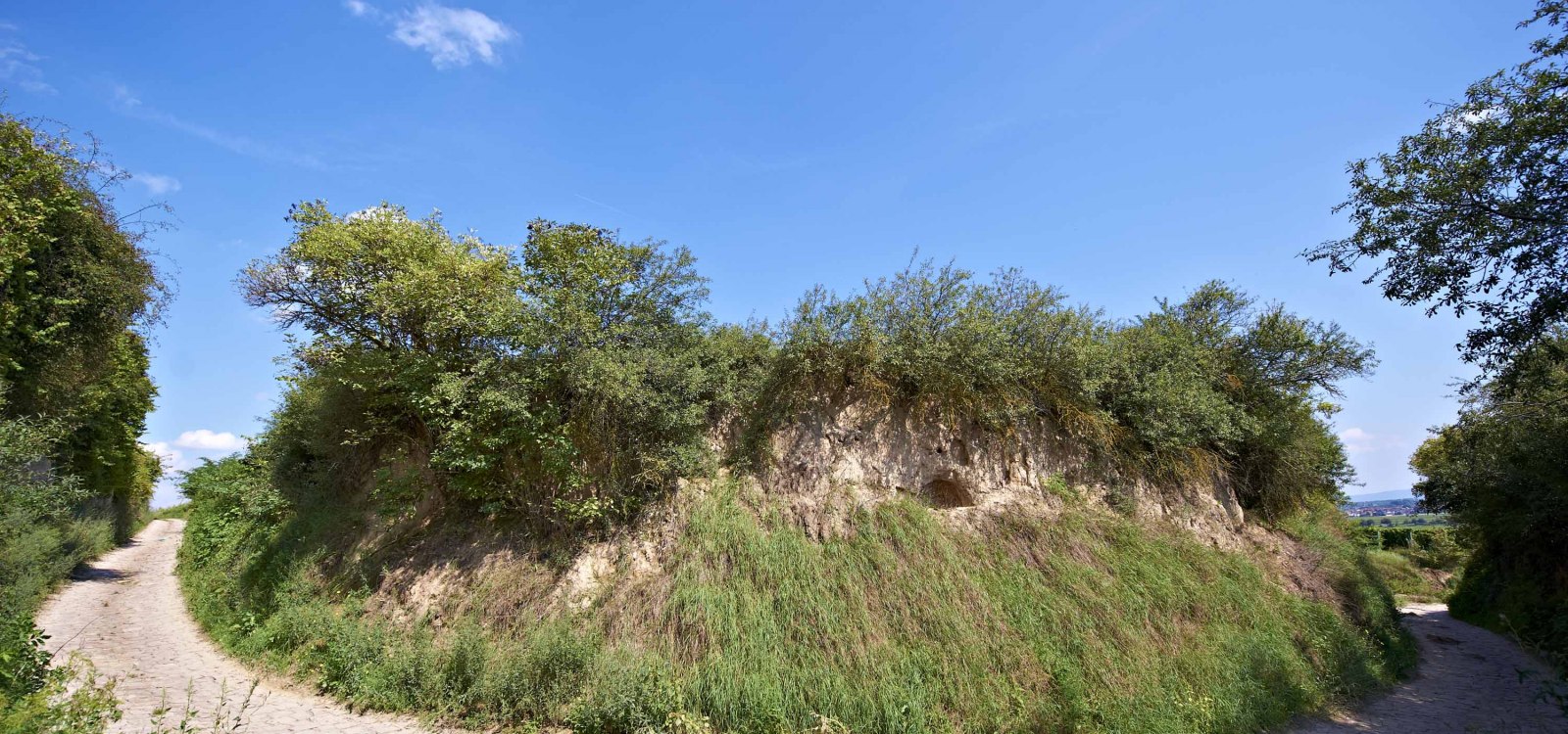 defile, &copy; Robert Dieth