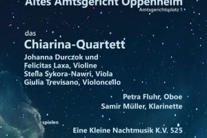 Mozart Oppenheim, &copy; Petra Fluhr