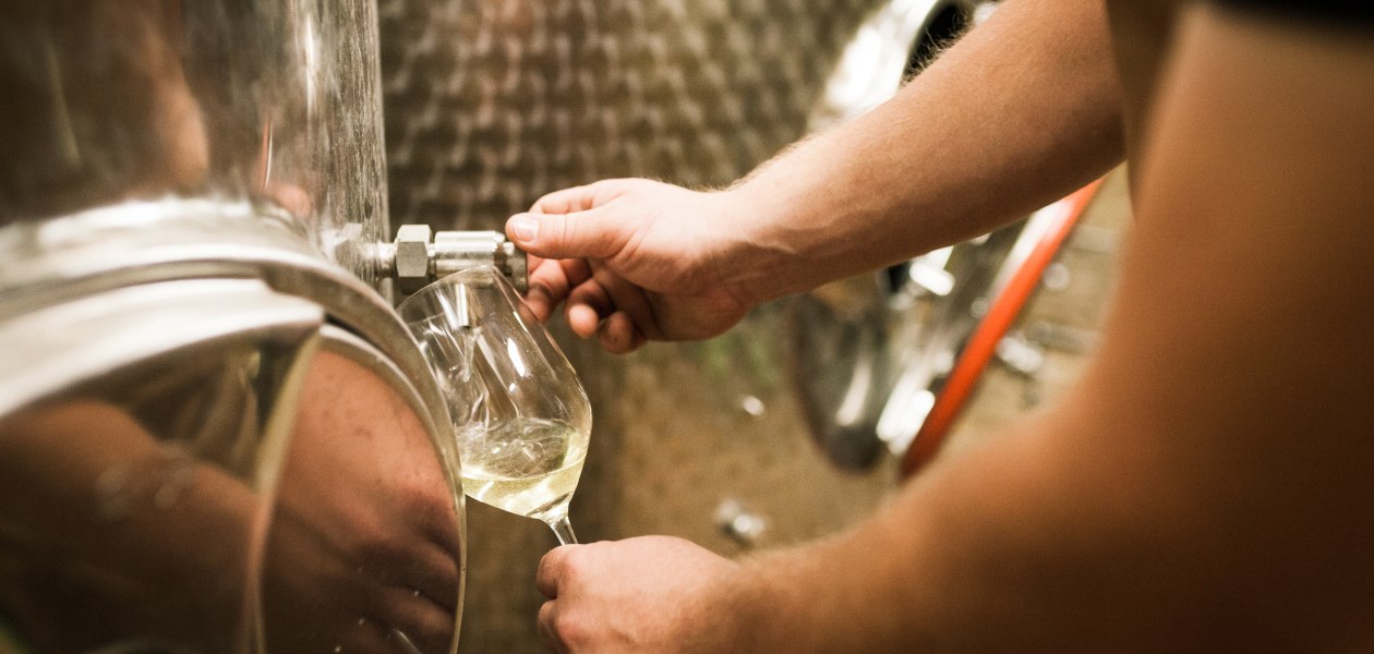 &copy; Weingut Dackermann