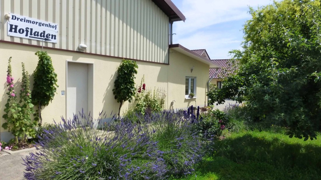 eckert2, &copy; Eckert Dreimorgenhof