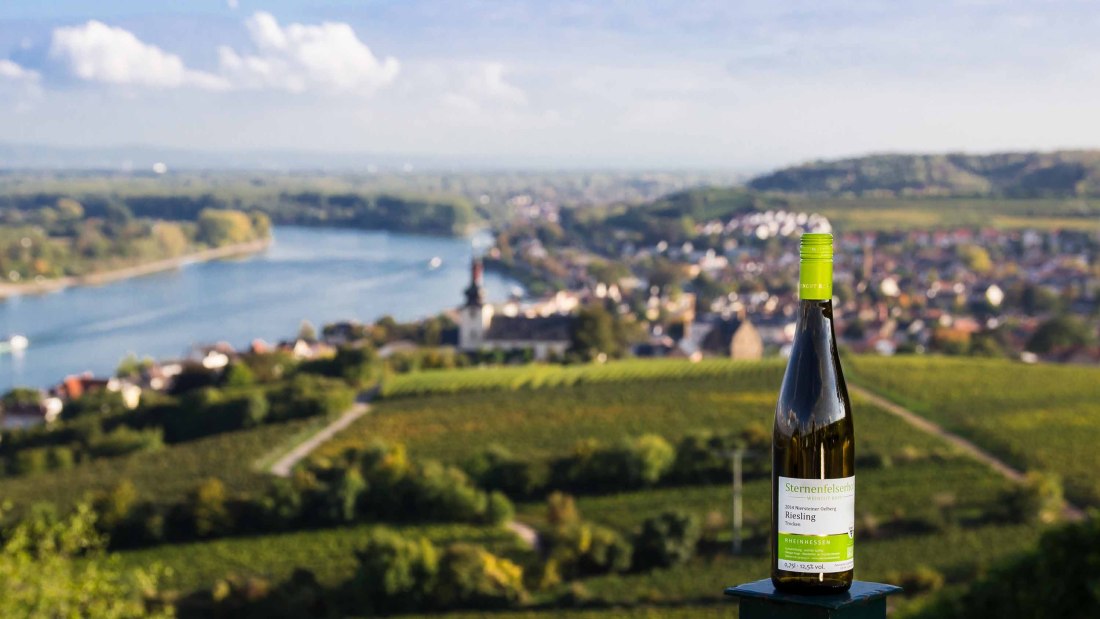 winery-kopp-sternenfelserhof-look-on-the-red-hang-internet, &copy; Weingut Sternenfelserhof