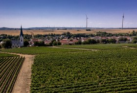 Gabsheimer Rosengarten