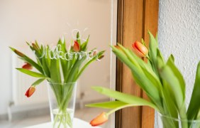 Willkommen &copy; Maja Fotografie