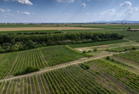 Mörstädter Katzebuckel © Torsten Silz