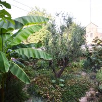 GB-Ferienhaus-18-768x511