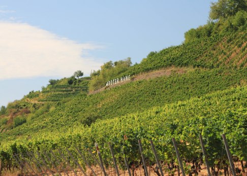 nierstein-roter-hang