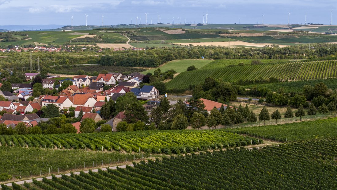 Bermersheimer Hildegardisberg