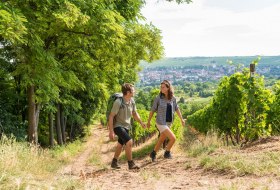 Wandern auf der Hiwweltour Bismarckturm &copy; Dominik Ketz