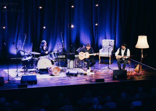 260411_Wohnzimmerkonzert (c) Christian Hattemer 20