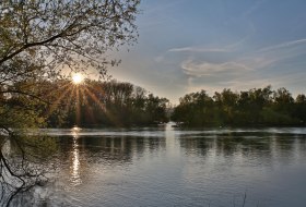 Inselrhein &copy; Rainer Oppenheimer/Stadt Ingelheim