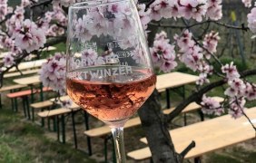 Mandelbl&uuml;tenfest &copy; Christoph L&ouml;sch