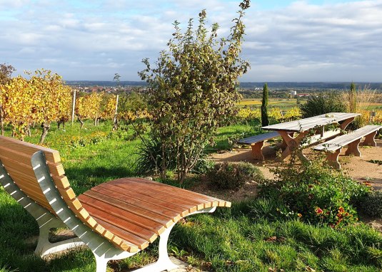 Tisch des Weines Alsheim &copy; by inMEDIA