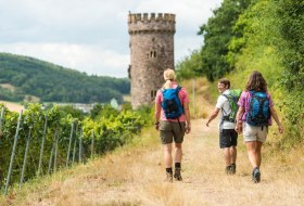 Weg zum Ajaxturm &copy; Dominik Ketz