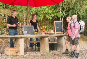 Wanderpaar bei einer Weinwanderung in Rheinhessen 2025