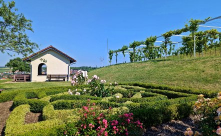 Weinbergshäuschen Gigser bei Wolfsheim, © Kristin Berschet 
