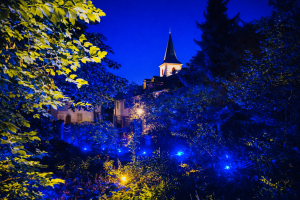 Blue Hour im Weingut