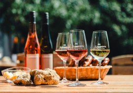 Weinfr&uuml;hling, &copy; Weingut Lamberth