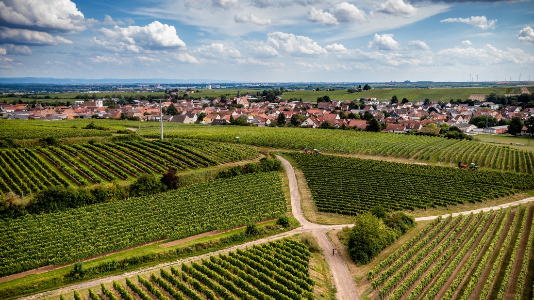 Bechtheimer Hasensprung