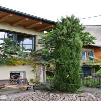 GB-Ferienhaus-2-768x1155