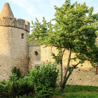 Der Hexenrrum in der Fleckenmauer &copy; Rheinhesssen-Touristik
