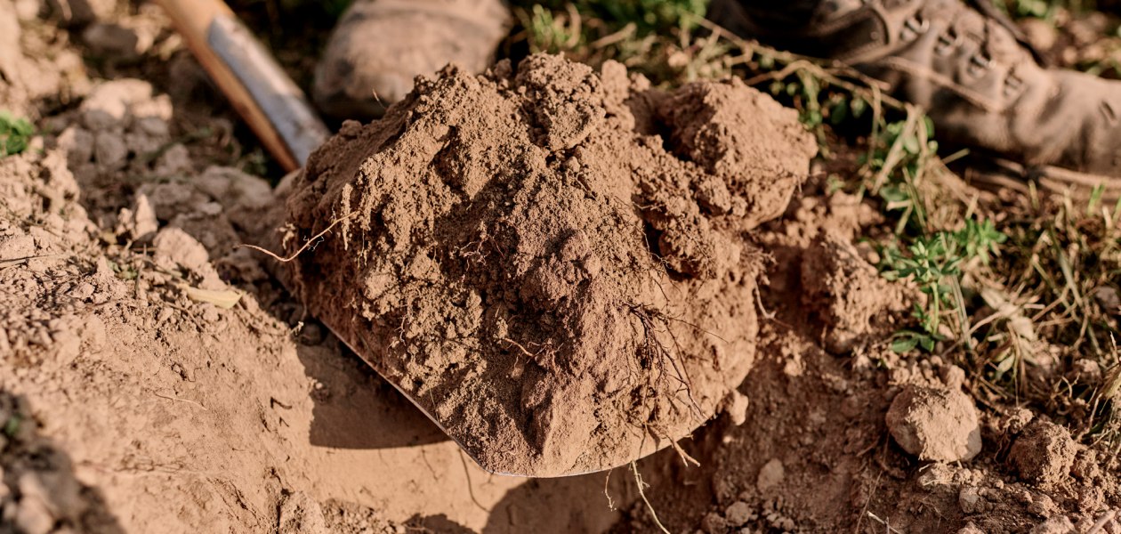 &copy; Weingut Sander