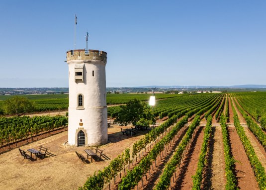 Wartturm in Nierstein_1 © Dominik Ketz, Rheinhessen-Touristik GmbH